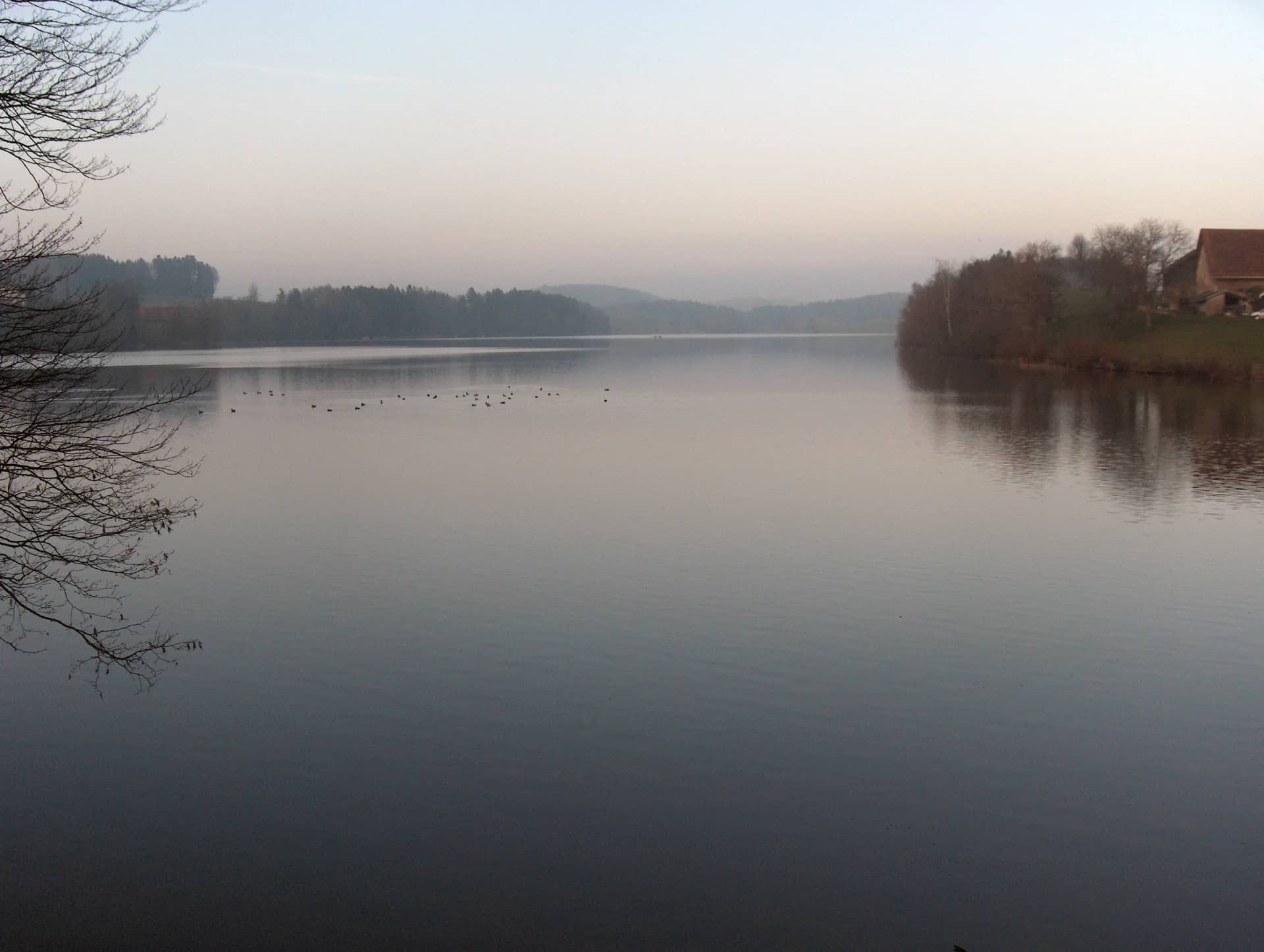 Le Lac de Bret, à Puidoux, un soir d'hiver, dans la lumière rose du crépuscule