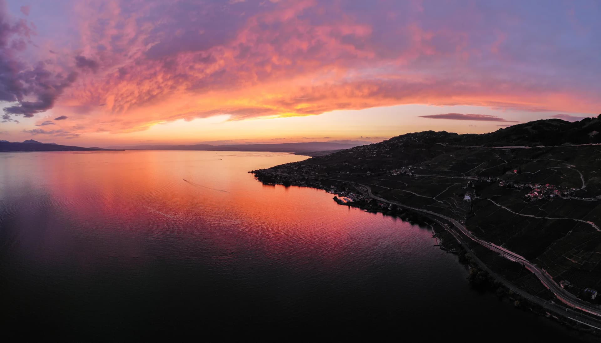 Les terrasses de Lavaux et le Léman au coucher du soleil, sous un ciel rose et violet, vues du ciel